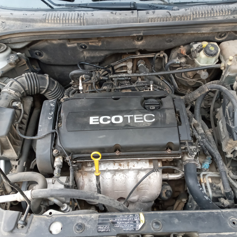 شفر كروز ٢٠١٠ فحص