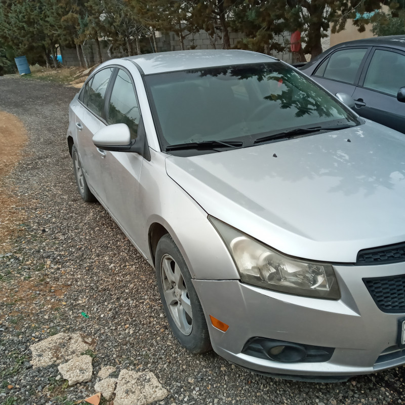 شفر كروز ٢٠١٠ فحص