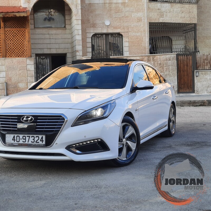 فل الفل فحص كامل