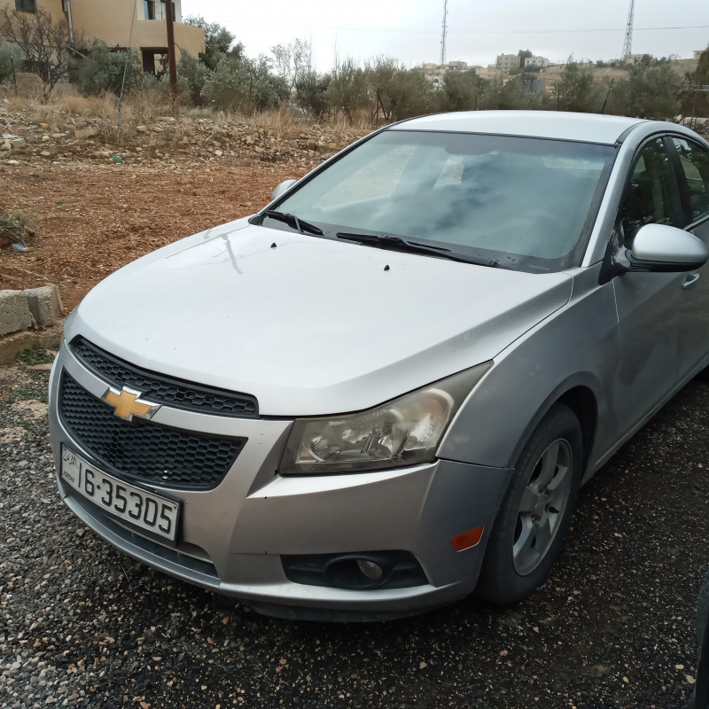 شفر كروز ٢٠١٠ فحص