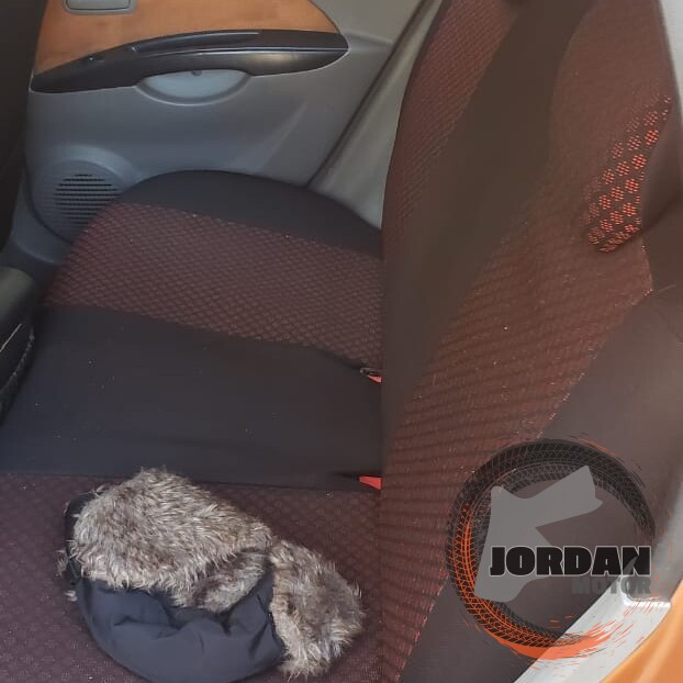 كيا بيكانتو