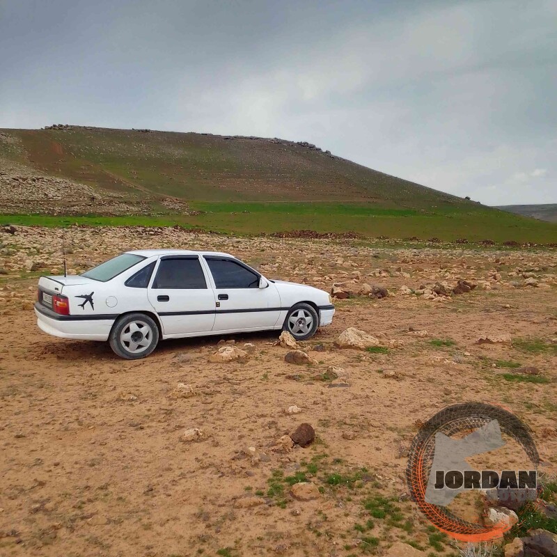 سوق السيارات الأردني